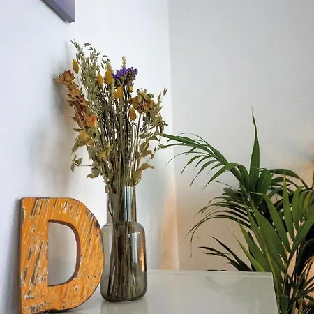 Gemuetliche In Ruhiger Lage * Dresden