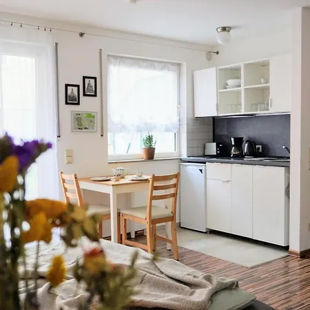 Appartement Gemuetliche In Ruhiger Lage Dresde