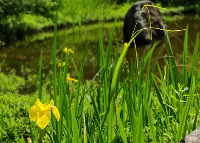 Gemuetliche In Ruhiger Lage Appartement